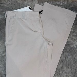 Express dress pants